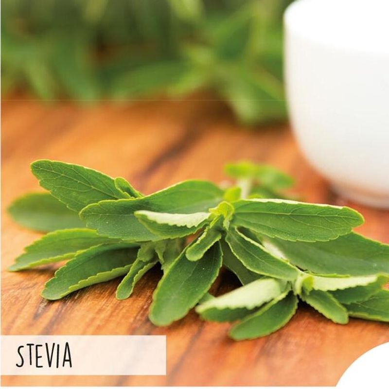 Stevia -frø-
