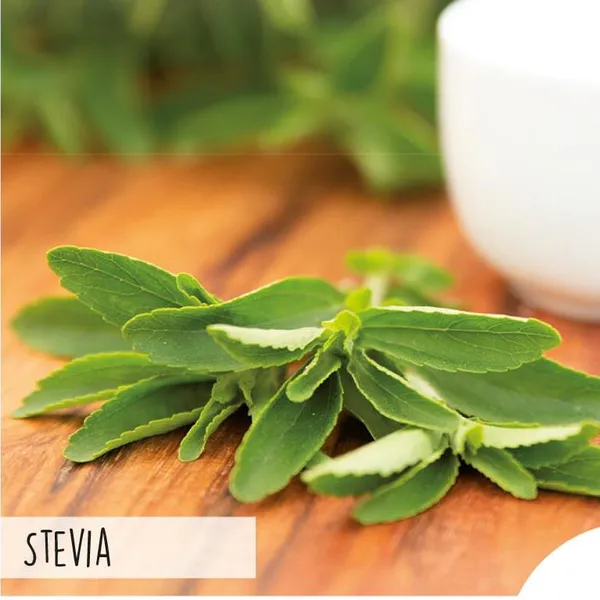 Hovedbilde Stevia -frø-