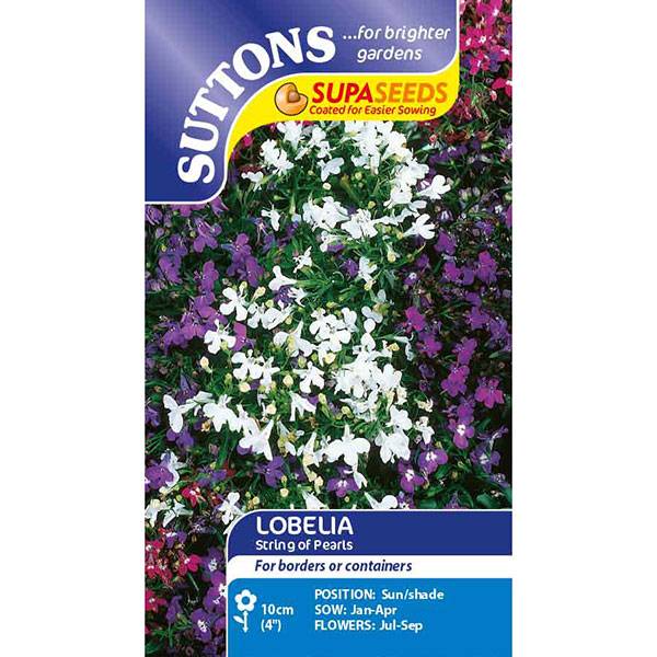 Bilde av LOBELIA 'String Of Pearls'
