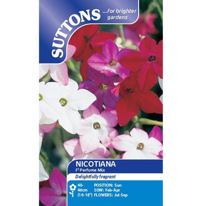 Hovedbilde Nicotiana Perfume Mix F1 -Frø- Prydtobakk