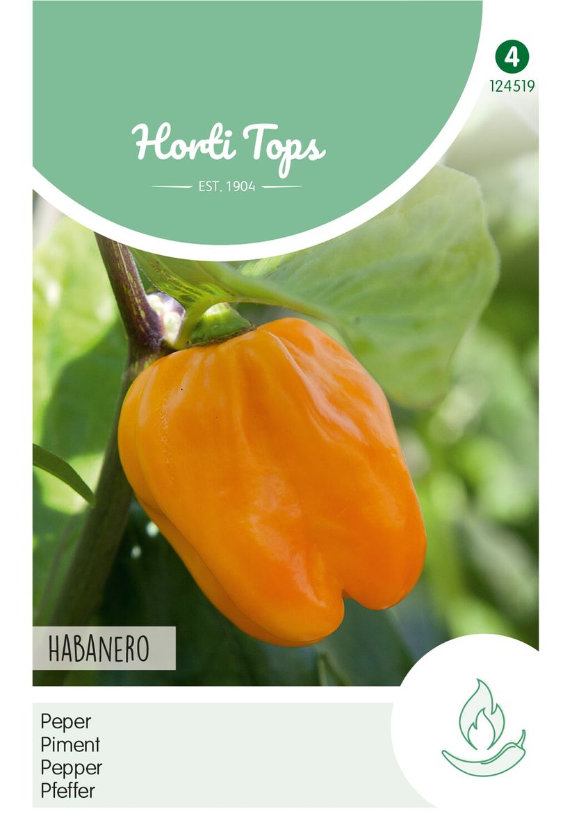Chili, Habanero -Frø-