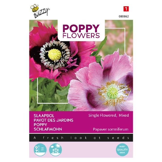 Hovedbilde Papaver somniferum. Valmue - Frø -