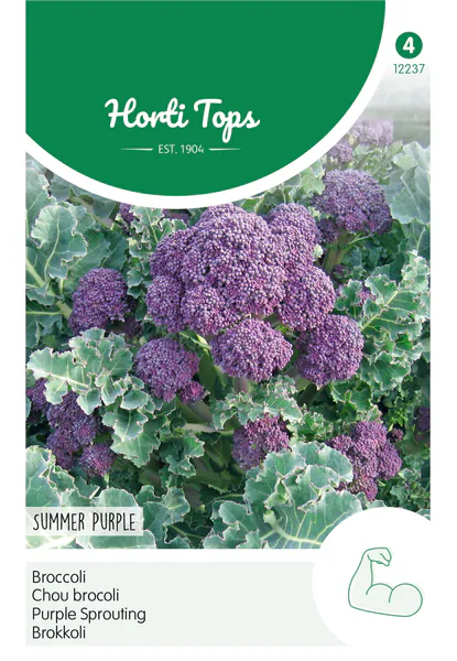 Hovedbilde Brokkoli Summer Purple -Frø-