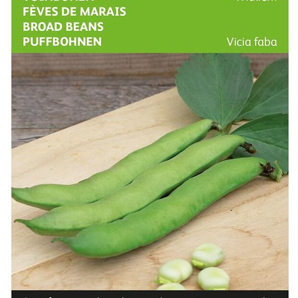 Hovedbilde Bønner, bondebønne -Frø-