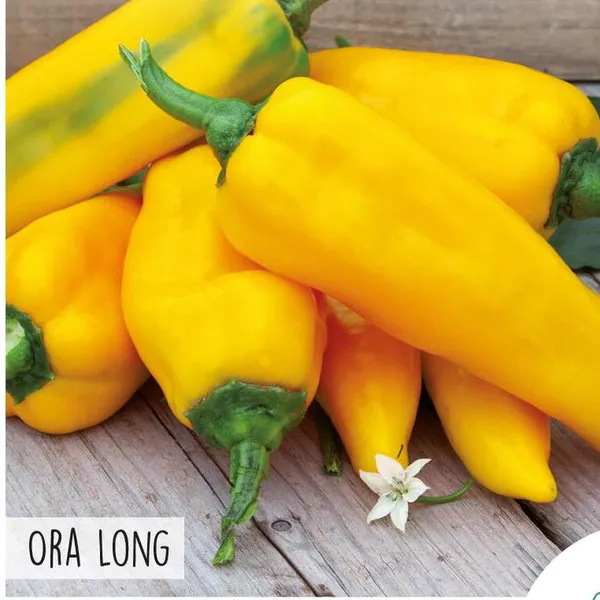 Hovedbilde Paprika Ora Long, søt -Frø-