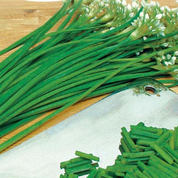 Hovedbilde Gressløk med hvitløkssmak -Frø-