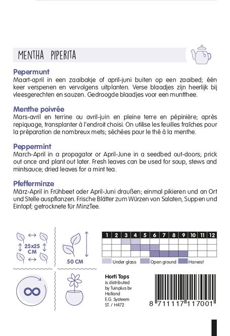 Hovedbilde Mynte / Peppermynte -Frø-