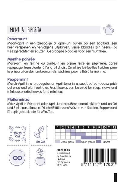 Hovedbilde Mynte / Peppermynte -Frø-