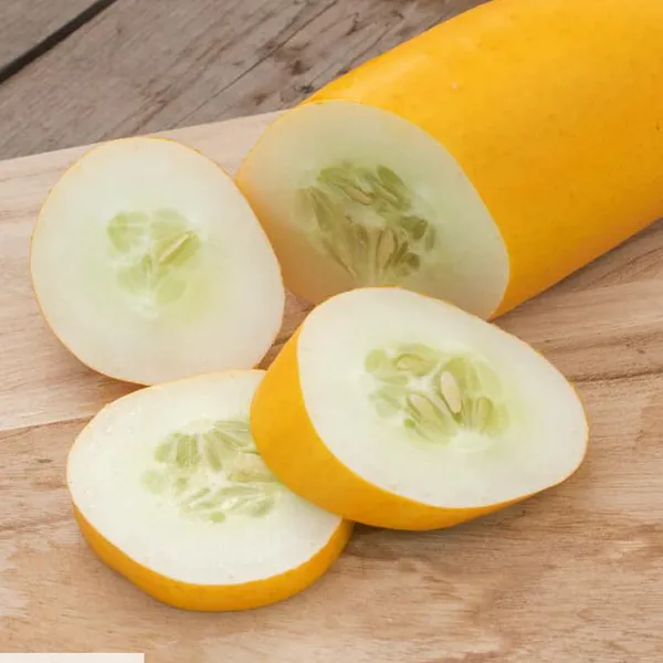 Hovedbilde Agurk Dutch Yellow -Frø-