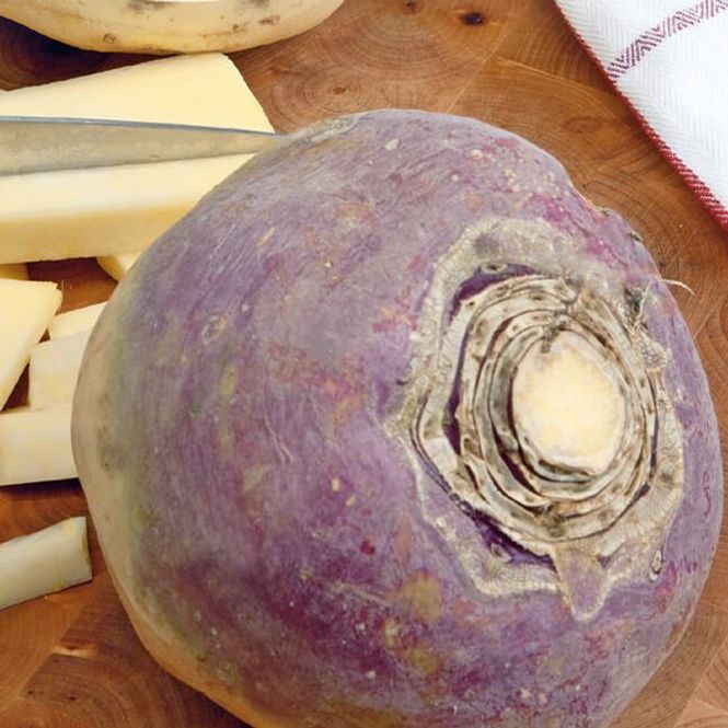 Hovedbilde Kålrot Champion Purple Top -Frø-