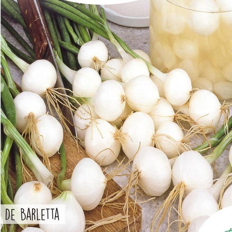 Løk White Pickling Barletta -Frø-