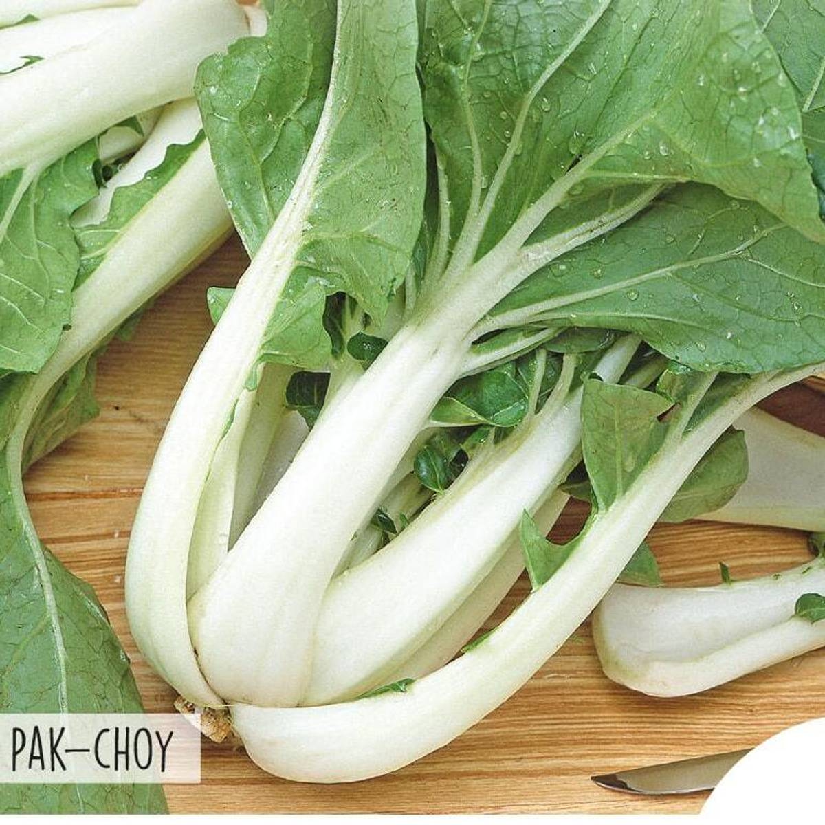 Kål Japansk Pak Choy -Frø-