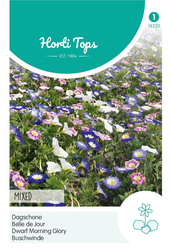 Convolvulus tricolor Mix -Frø- Trikolorvindel