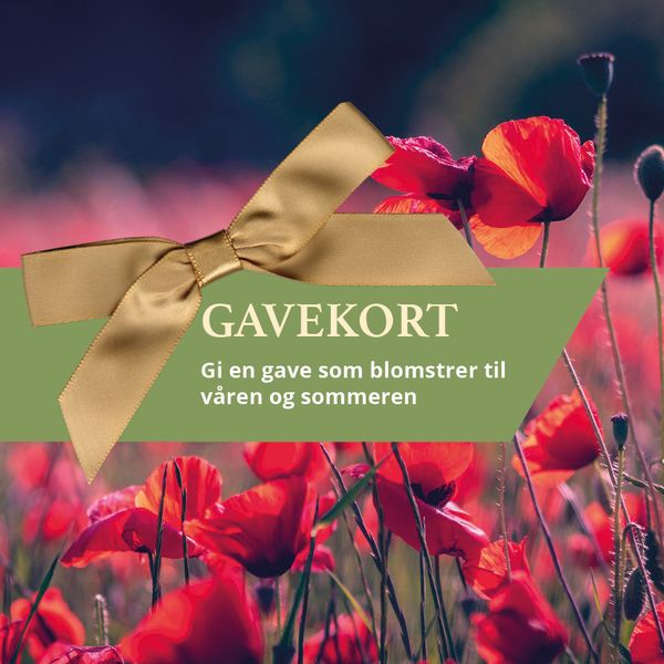 Gavekort til en hagevenn