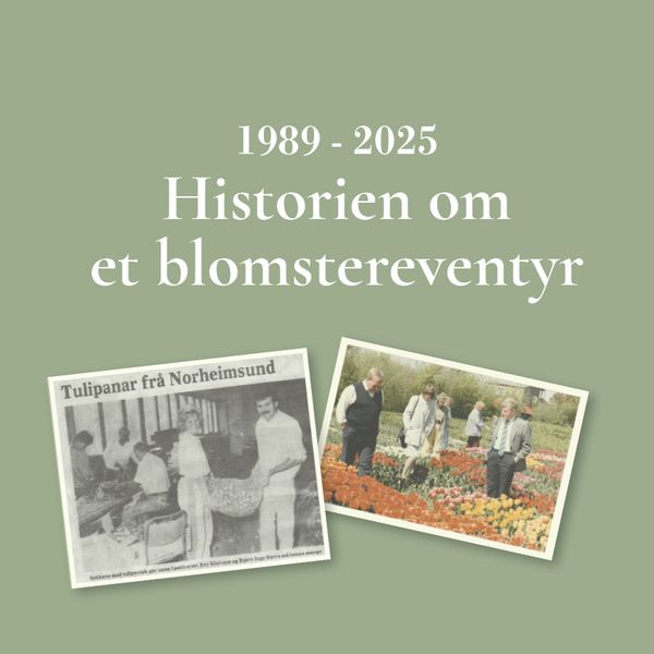 Historien om et blomstereventyr - Botanisk Verden - Zimtrade AS