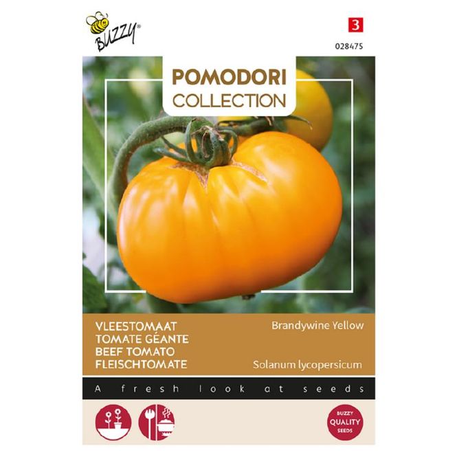 Hovedbilde Tomat, bifftomat Brandywine Yellow -Frø-
