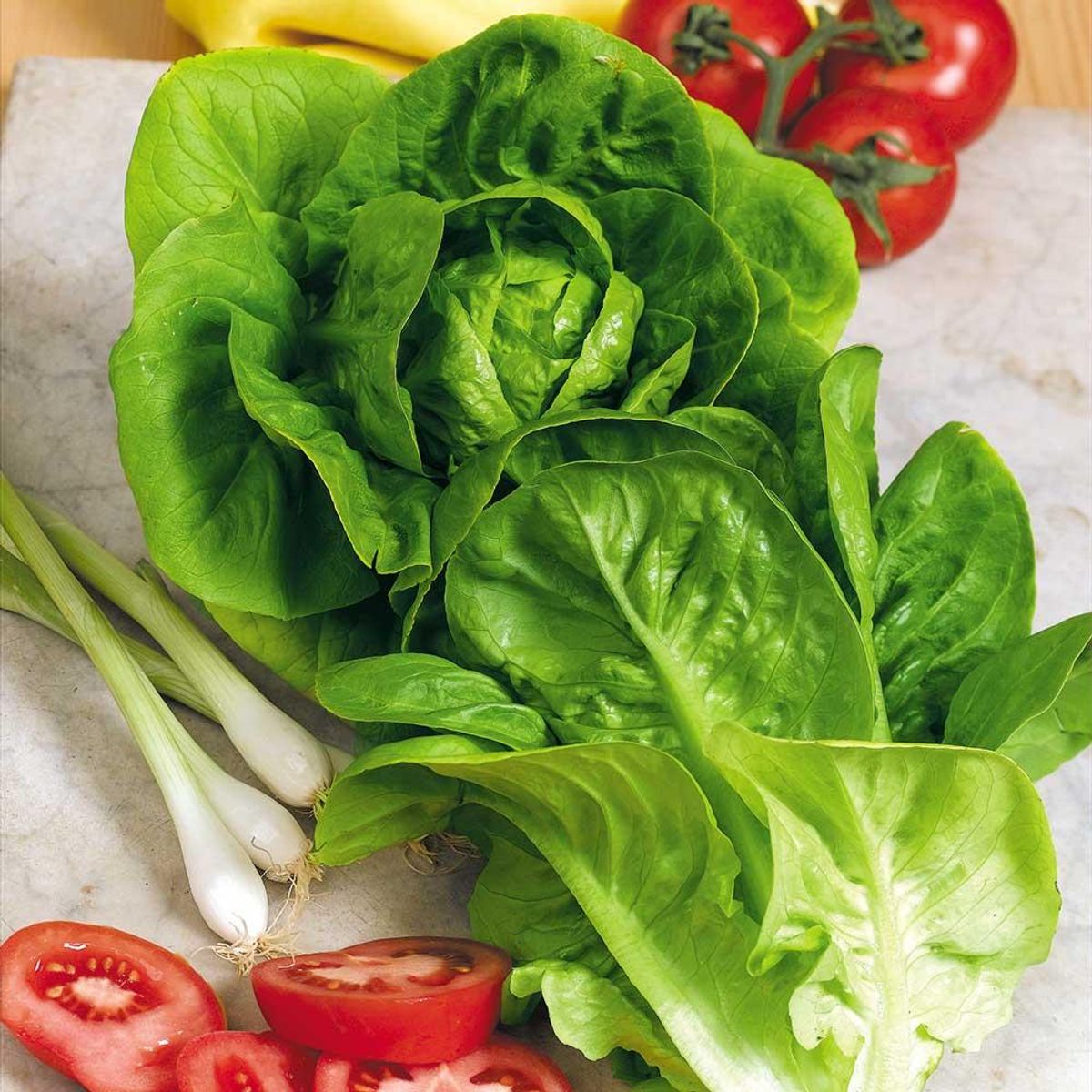 Salat Little Gem. Romanosalat -Frø-